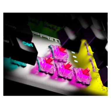 ID000PGL19 (4)